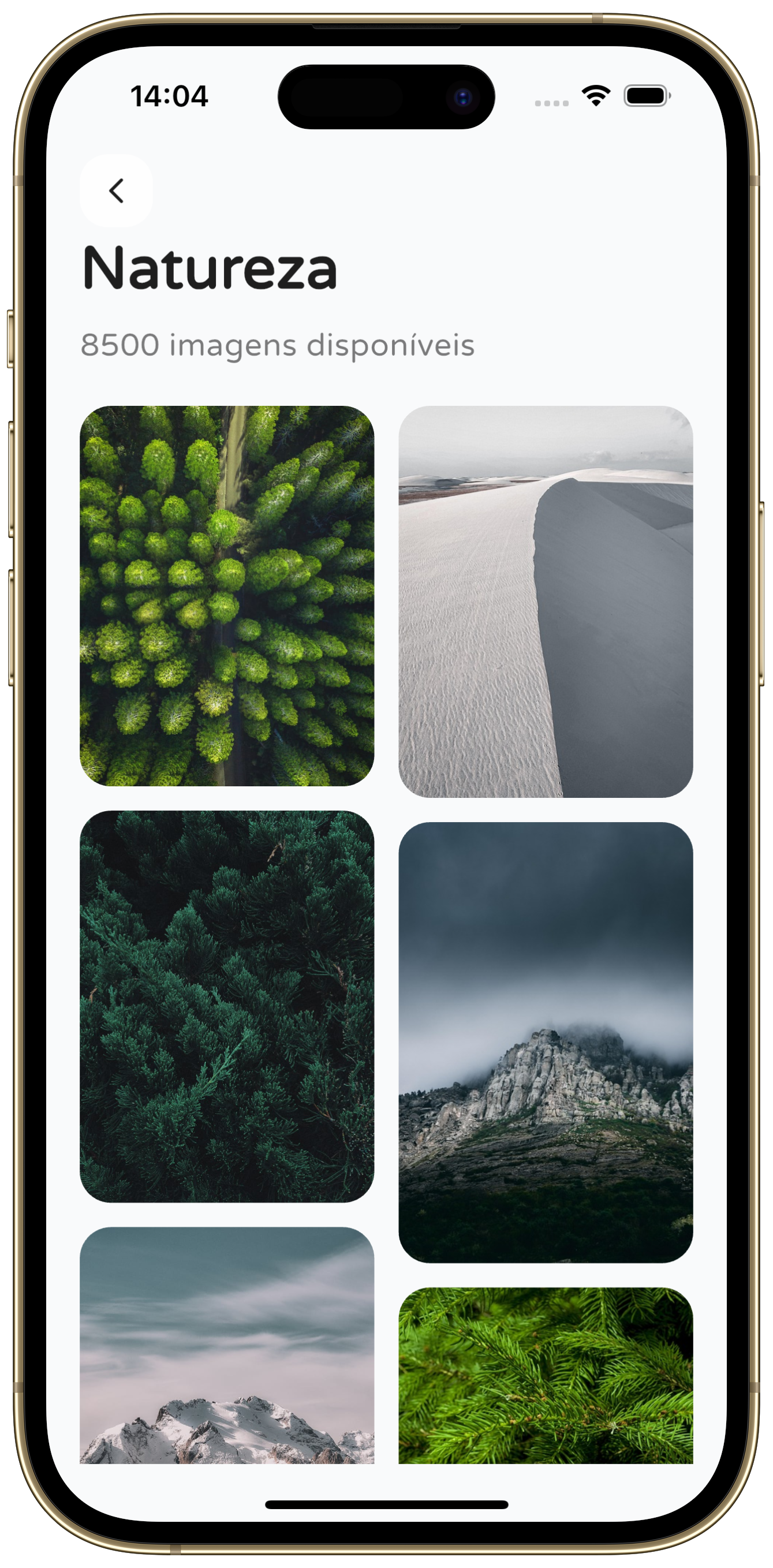 WallMaker editor screen.